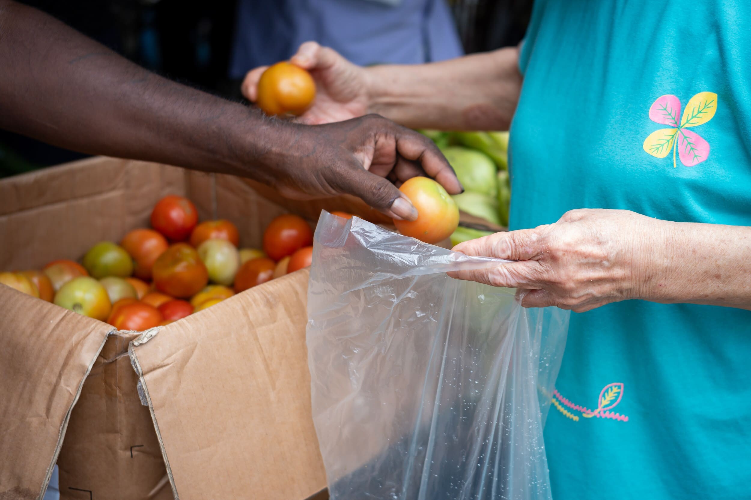 Sets of provision packs provided to registered families in need regularly